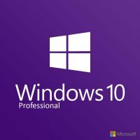 Windows 10 Professional OEM Microsoft Key