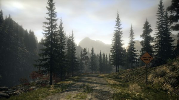 سی دی کی اریجینال استیم بازی Alan Wake - Collector's Edition