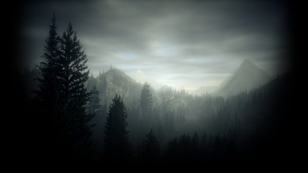 سی دی کی اریجینال استیم بازی Alan Wake - Collector's Edition