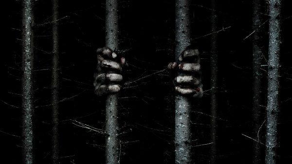 سی دی کی اریجینال استیم بازی Blair Witch