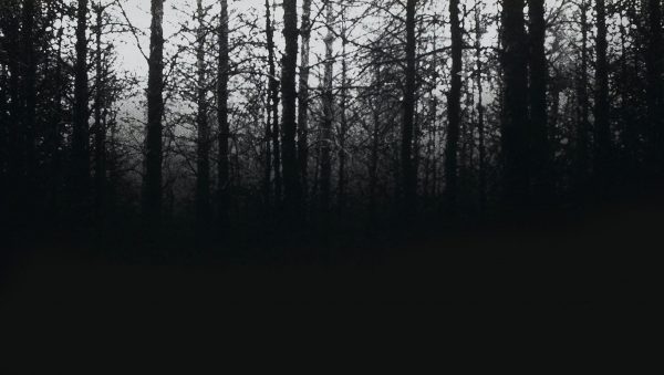 سی دی کی اریجینال استیم بازی Blair Witch