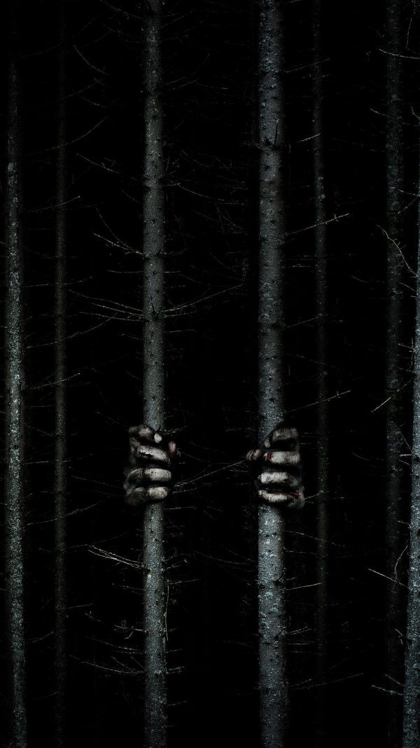 سی دی کی اریجینال استیم بازی Blair Witch