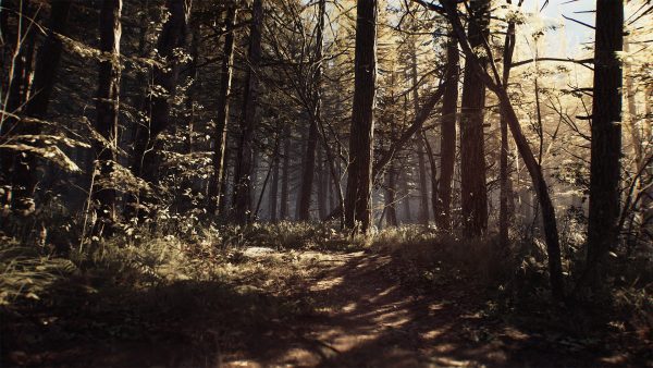 سی دی کی اریجینال استیم بازی Blair Witch
