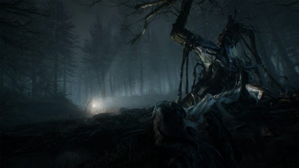 سی دی کی اریجینال استیم بازی Blair Witch