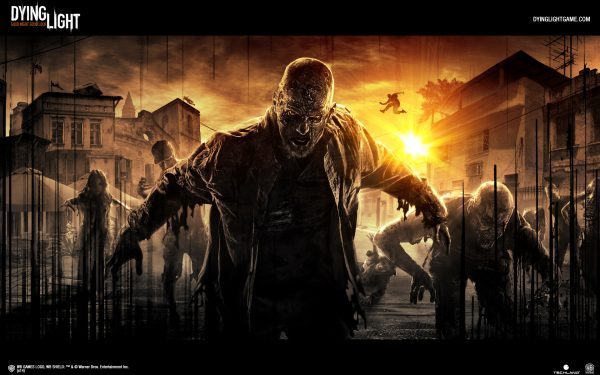 سی دی کی اریجینال استیم بازی Dying Light: The Following - Enhanced Edition