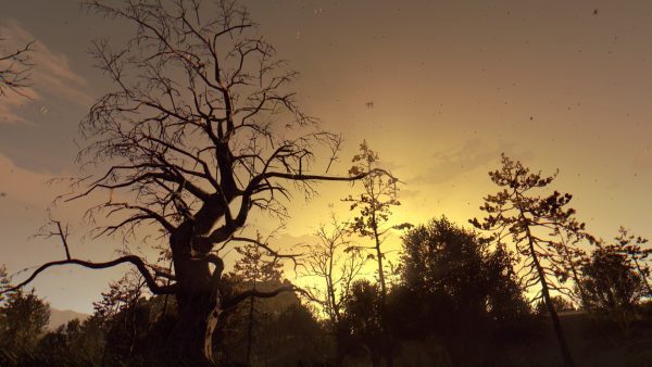 سی دی کی اریجینال استیم بازی Dying Light: The Following - Enhanced Edition