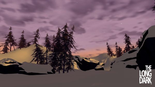 سی دی کی اریجینال استیم بازی The Long Dark