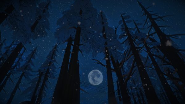 سی دی کی اریجینال استیم بازی The Long Dark