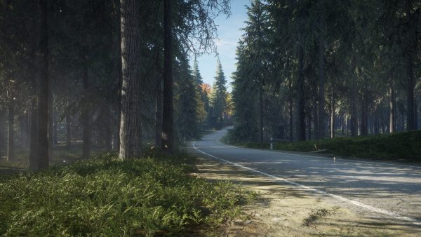 سی دی کی اریجینال استیم بازی theHunter: Call Of The Wild