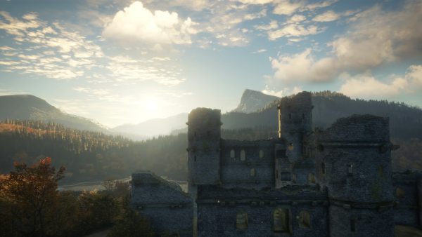 سی دی کی اریجینال استیم بازی theHunter: Call Of The Wild
