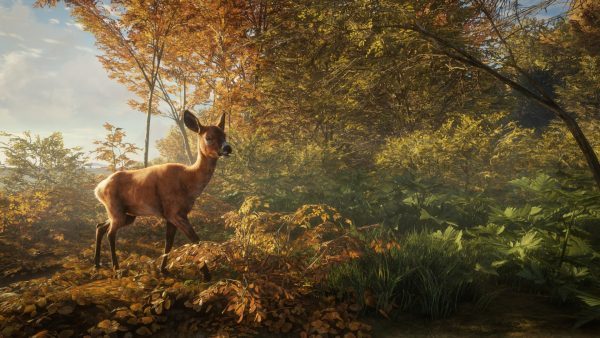 سی دی کی اریجینال استیم بازی theHunter: Call Of The Wild - 2019 Edition