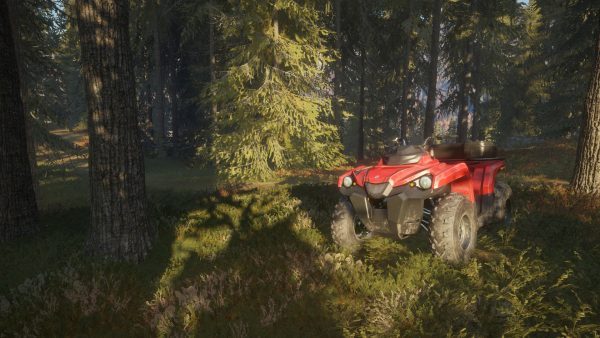 سی دی کی اریجینال استیم بازی theHunter: Call Of The Wild - 2019 Edition