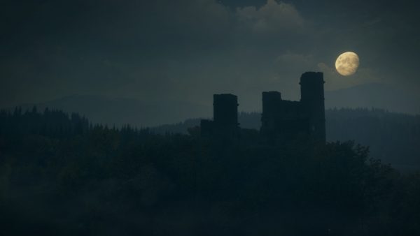 سی دی کی اریجینال استیم بازی theHunter: Call Of The Wild