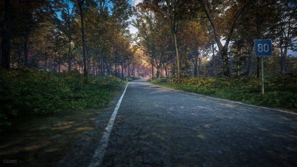 سی دی کی اریجینال استیم بازی theHunter: Call Of The Wild - 2019 Edition