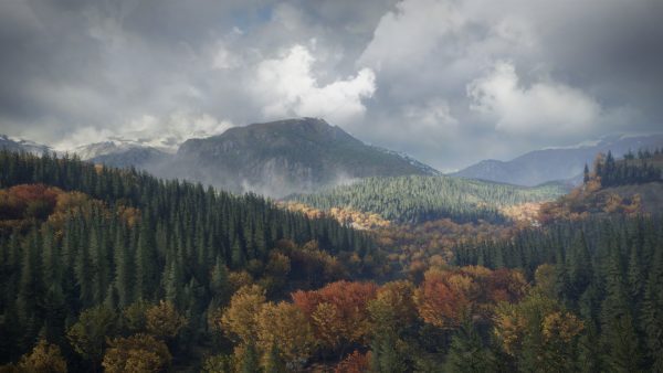 سی دی کی اریجینال استیم بازی theHunter: Call Of The Wild