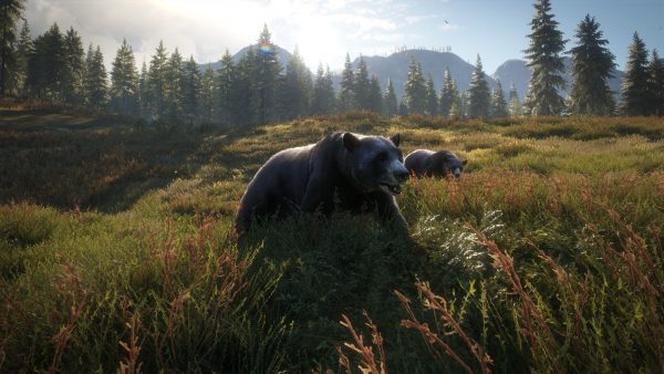 سی دی کی اریجینال استیم بازی theHunter: Call Of The Wild