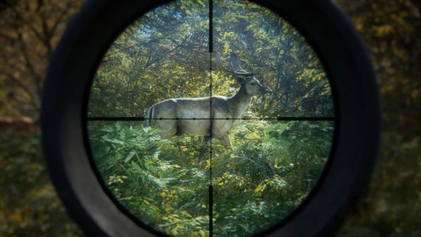 سی دی کی اریجینال استیم بازی theHunter: Call Of The Wild