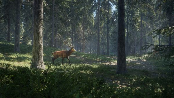 سی دی کی اریجینال استیم بازی theHunter: Call Of The Wild
