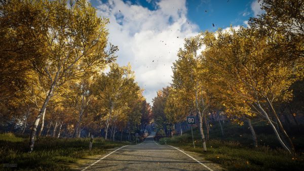 سی دی کی اریجینال استیم بازی theHunter: Call Of The Wild