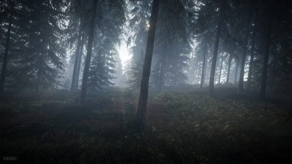 سی دی کی اریجینال استیم بازی theHunter: Call Of The Wild