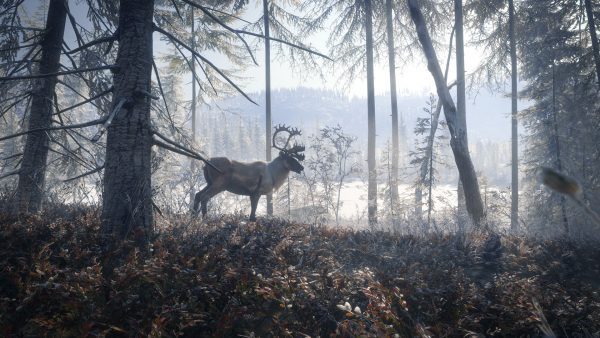 سی دی کی اریجینال استیم بازی theHunter: Call Of The Wild - 2019 Edition