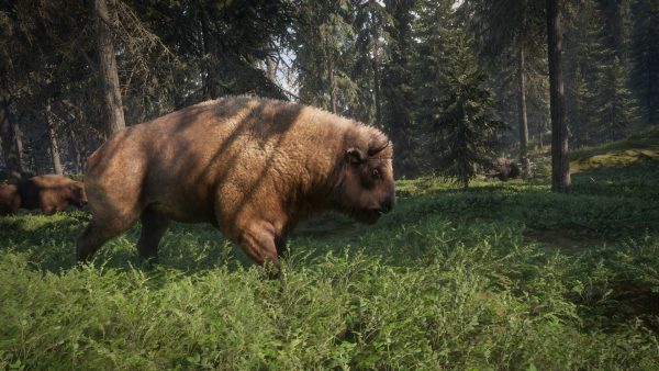 سی دی کی اریجینال استیم بازی theHunter: Call Of The Wild