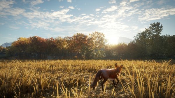 سی دی کی اریجینال استیم بازی theHunter: Call Of The Wild