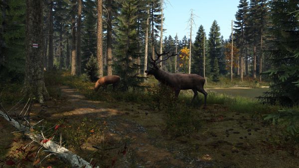 سی دی کی اریجینال استیم بازی DayZ
