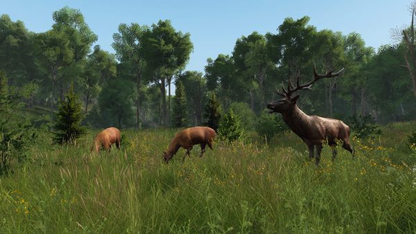 سی دی کی اریجینال استیم DayZ - Livonia