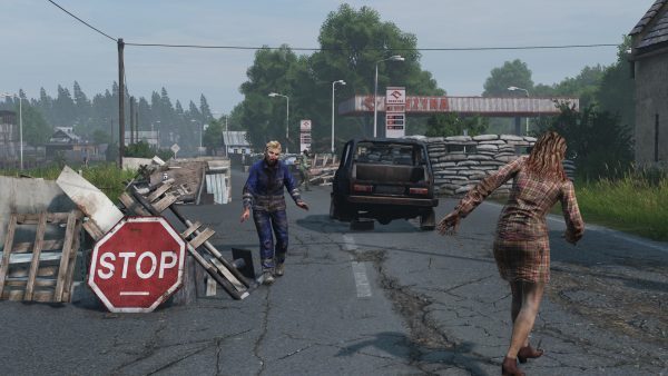 سی دی کی اریجینال استیم DayZ - Livonia