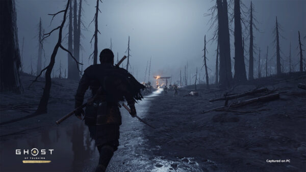 سی دی کی اریجینال بازی Ghost Of Tsushima Director's Cut