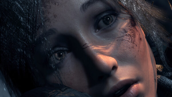 سی دی کی اریجینال بازی Rise of the Tomb Raider: 20 Year Celebration