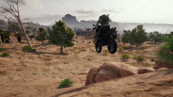سی دی کی اریجینال استیم بازی PlayerUnknown's Battlegrounds