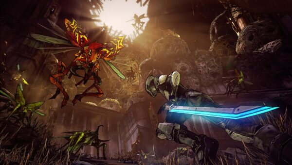 سی دی کی استیم بازی Borderlands 2 Game Of The Year