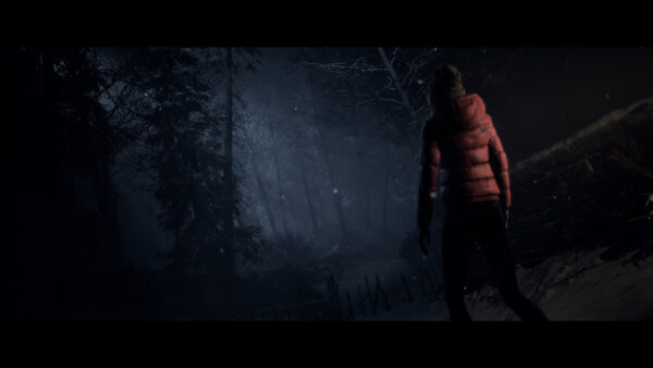 سی دی کی استیم بازی Until Dawn