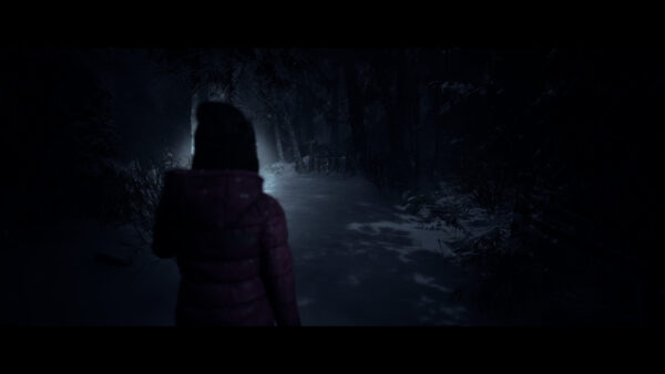 سی دی کی استیم بازی Until Dawn