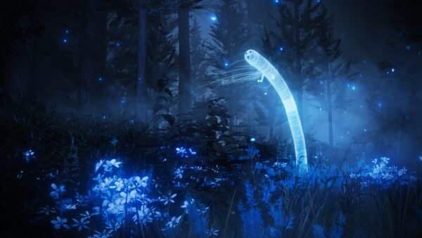 سی دی کی استیم اکسپنشن Elden Ring: Shadow of the Erdtree
